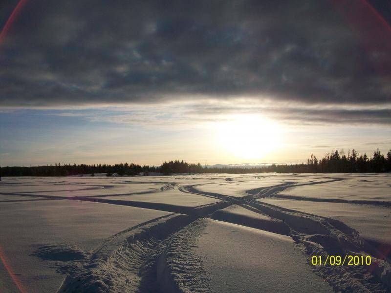 Tracks in the late afternoon sun.