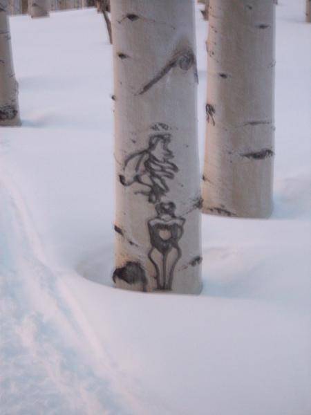 tree carvings