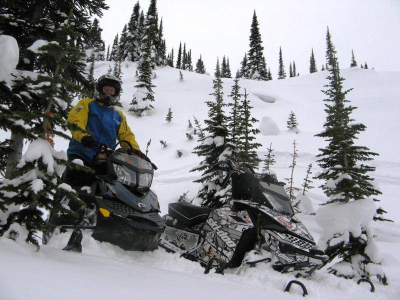 tree ridding in Lang creek