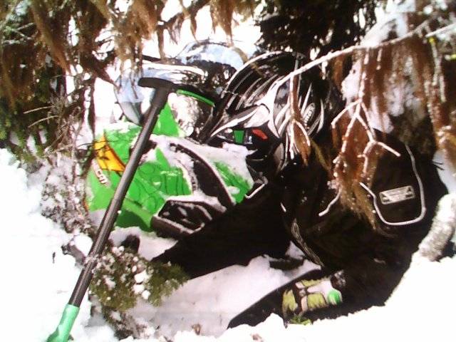 Ummm..who rode into a tree well???