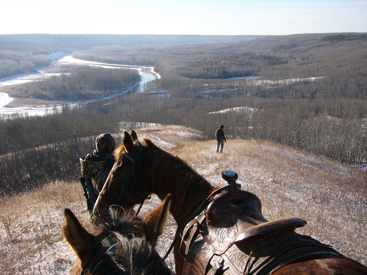 View from horse back while out Elk Hunting