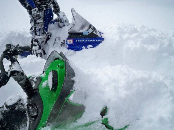 view of sleds when we stopped