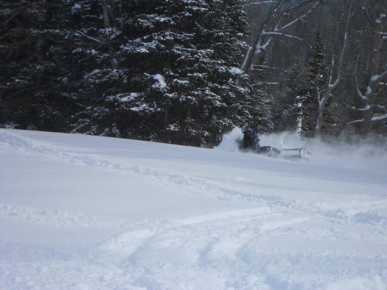 West Yellowstone.
Front dropped out of sight.