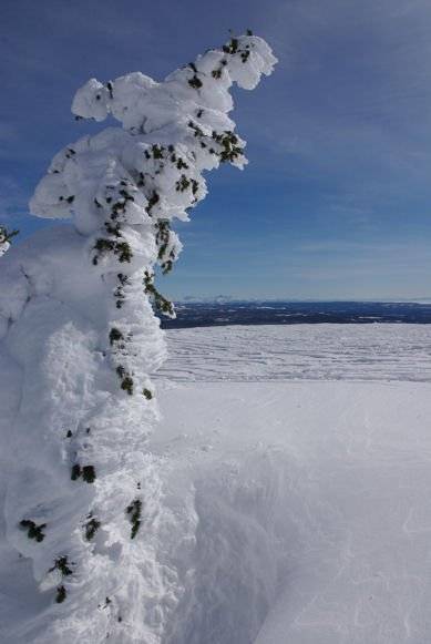 West Yellowstone