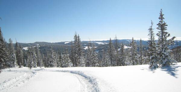 What a view from the untracked area